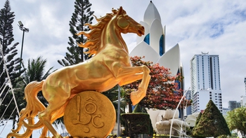 Ngựa vàng, ngựa bạc Nha Trang tung vó mang tài lộc cho năm mới