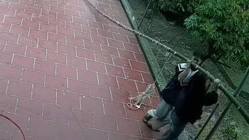 Kiếp nạn cây nêu