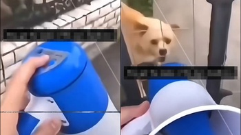 Chàng trai dùng công nghệ khắc chế con chó sủa to