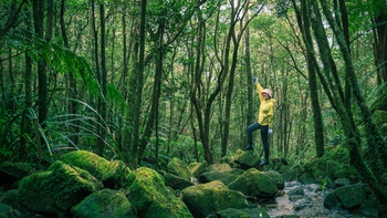 Pa Thiên - Voi Mẹp: Vượt dốc dựng đứng, ngủ giữa ngàn sao tìm về nơi đá núi vọng lời sử thi