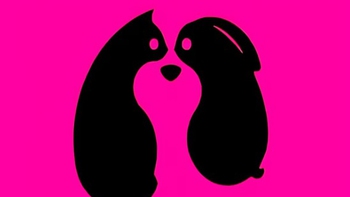 Quiz: Bạn giàu lòng trắc ẩn và luôn biết đồng cảm?