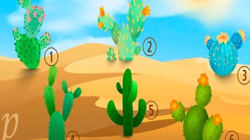 Quiz: Nội tâm bạn đang mong muốn điều gì?