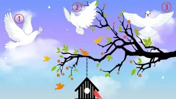 Quiz: Bạn sở hữu trí tuệ sắc bén và nội lực mạnh mẽ