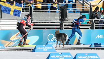 Chó sói lao vào đường đua, dí VĐV trượt tuyết ở Olympic mùa đông