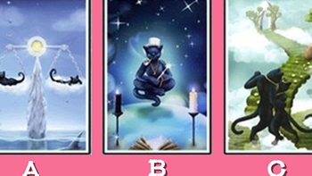 Tarot: Bạn có vị trí nào trong trái tim người ấy?