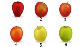 Quiz: Bạn thẳng thắn, chân thành hay sắc sảo, tự tin