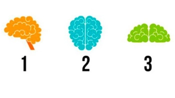 Quiz: Trí tuệ của bạn đang nằm ở độ tuổi nào?