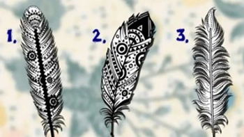 Quiz: Sứ mệnh cuộc đời của bạn là gì?