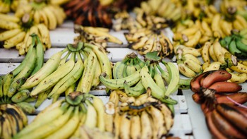 Loại trái cây phổ biến nhất thế giới đối mặt nguy cơ biến mất