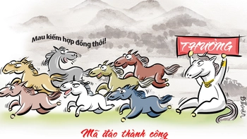 Đầu năm đi làm chỉ mong mã đáo thành công