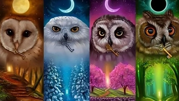 Quiz: Bạn nổi bật nhất điều gì?