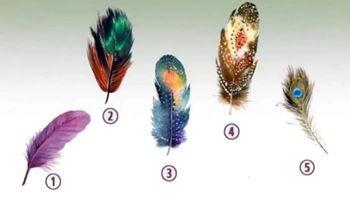 Quiz: Bạn là người quyết định nhanh chóng, dứt khoát?