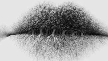 Quiz: Bạn có tầm nhìn xa và quyết đoán