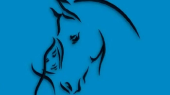 Quiz: Bạn chung thủy hay lý trí?