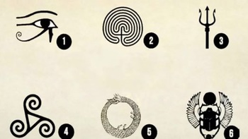 Quiz: Việc bạn nên làm ngay lúc này là gì?