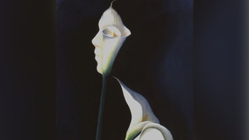 Quiz: Bạn sở hữu sức hút tự nhiên và nguồn năng lượng lan tỏa?