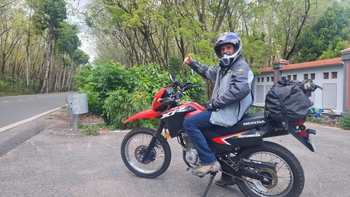 Du khách thích thú với vườn cao su đang thay lá ở TP.HCM