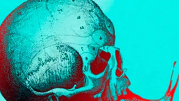 Quiz: Bạn là người hướng ngoại, linh hoạt và giao tiếp tốt?