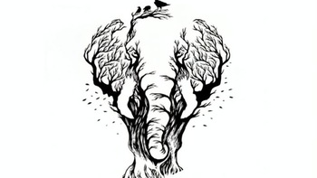 Quiz: Bạn là người kiên trì, bền bỉ và không ngại thử thách?