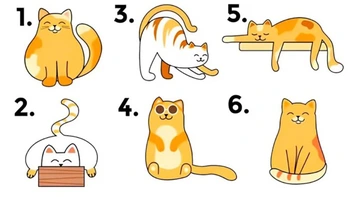 Quiz: Bạn có sở hữu tố chất lãnh đạo?