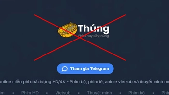 'Rổ Phim' vừa đóng cửa thì 'Thúng Phim' xuất hiện?!