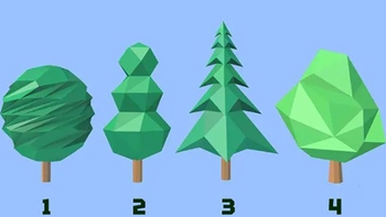 Quiz: Bạn là người tham vọng lớn và những mục tiêu cao?