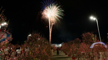 Pháo hoa rực sáng tại Vinhomes Green Paradise Cần Giờ, khai lễ hội xuân