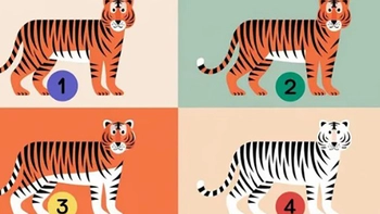 Quiz: Điểm mạnh nổi bật nhất của bạn là gì?