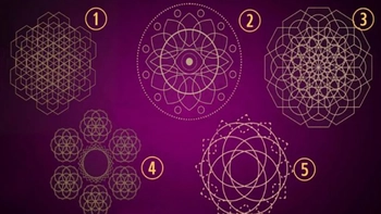 Quiz: Bạn thuộc kiểu người nào?