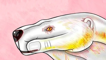 Quiz: Bạn là người tỉ mỉ, sắc sảo?