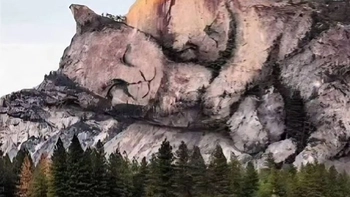 Quiz: Đọc vị tính cách bí ẩn của bạn chỉ sau 5 giây