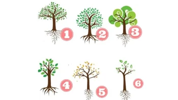 Quiz: Bạn là người cá tính như thế nào?