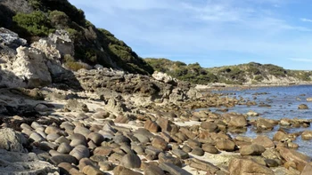 Mắt cú vọ mới thấy con chó đứng đâu