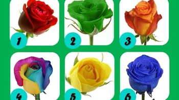 Quiz: Bạn là người dễ thích nghi với những thay đổi cuộc sống