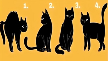 Quiz: Bạn tự tin, tháo vát hay là người nhạy bén?