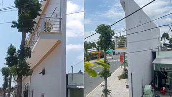 Sự thật về ngôi nhà độc lạ ở miền Tây khiến ai đi qua cũng phải ngoái nhìn