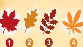 Quiz: Bạn là người thế nào trong tình yêu?