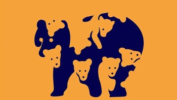 Số lượng gấu nhìn thấy phản ánh độ tinh tường đôi mắt của bạn