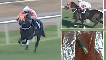 Phát hiện chấn động: thịt ngựa đua trong bếp ăn từ thiện