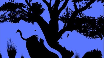 Quiz: Bạn phản ứng trước áp lực cuộc sống như thế nào?