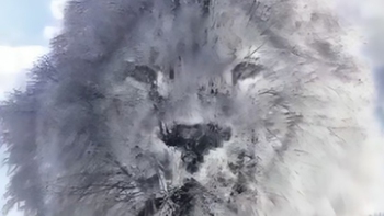 Quiz: Bạn có đang lo lắng về tương lai?