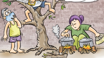 Cây mai 'hy sinh' vì giá xăng dầu