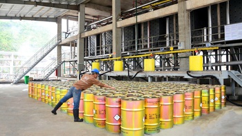 Công ty chứng khoán 'quay xe' khuyến nghị với cổ phiếu của Hóa chất Đức Giang