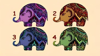 Quiz: Đức tính nào nổi bật nhất trong tính cách của bạn?