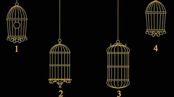 Quiz: Điều gì đang cản trở bạn thành công?