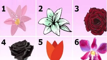 Quiz: Bạn là người thế nào?