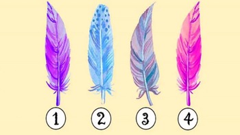 Quiz: Bạn không thích nơi ồn ào và ghét sự giả dối