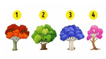 Quiz: Bạn quan tâm người khác một cách chân thành?