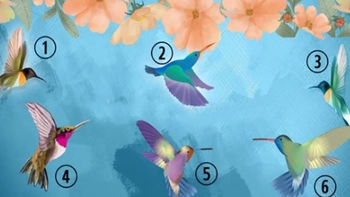 Quiz: Bạn cực kỳ quyết đoán hay là người sống kín đáo?