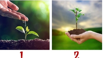 Quiz: Điều ước của bạn sắp trở thành hiện thực?